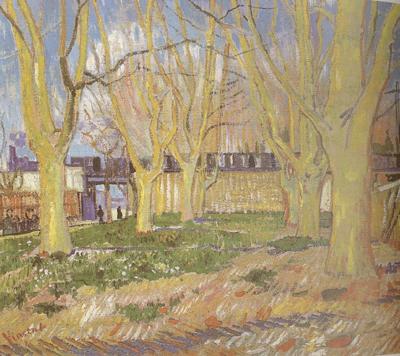 Vincent Van Gogh Avenue of Plane Trees near Arles Station (nn04) oil painting picture